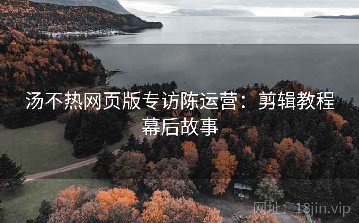 汤不热网页版专访陈运营：剪辑教程幕后故事