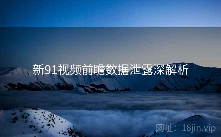 新91视频前瞻数据泄露深解析