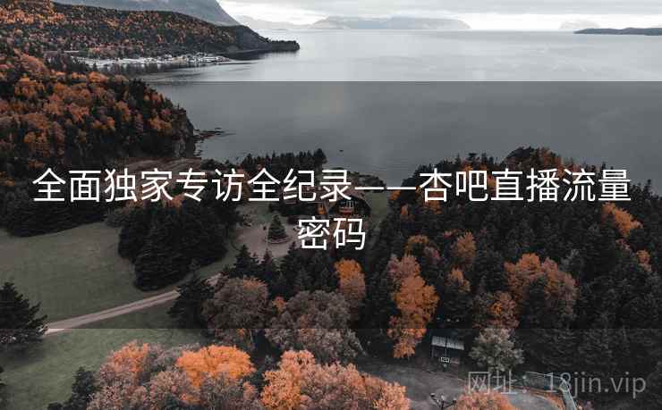 全面独家专访全纪录——杏吧直播流量密码