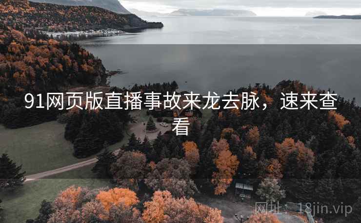 91网页版直播事故来龙去脉，速来查看