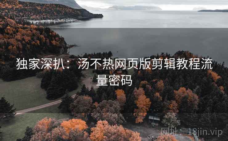 独家深扒：汤不热网页版剪辑教程流量密码